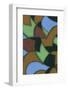 Abstract Stained Glass Pattern-Found Image Holdings Inc-Framed Photographic Print