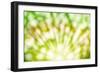 Abstract Summer Background with Sunlight-darkbird-Framed Photographic Print