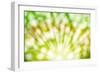 Abstract Summer Background with Sunlight-darkbird-Framed Photographic Print