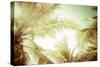 Abstract Summer Background with Tropical Palm Tree Leaves-Perfect Lazybones-Stretched Canvas
