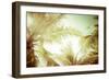 Abstract Summer Background with Tropical Palm Tree Leaves-Perfect Lazybones-Framed Premium Photographic Print