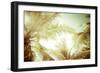 Abstract Summer Background with Tropical Palm Tree Leaves-Perfect Lazybones-Framed Premium Photographic Print