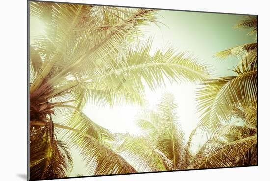 Abstract Summer Background with Tropical Palm Tree Leaves-Perfect Lazybones-Mounted Photographic Print