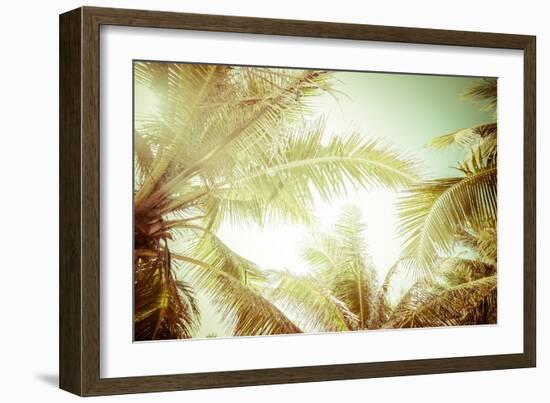 Abstract Summer Background with Tropical Palm Tree Leaves-Perfect Lazybones-Framed Photographic Print