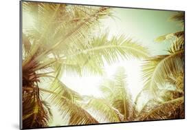 Abstract Summer Background with Tropical Palm Tree Leaves-Perfect Lazybones-Mounted Photographic Print