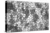 Abstract Texture of a Gray Mosaic-malven-Stretched Canvas