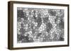 Abstract Texture of a Gray Mosaic-malven-Framed Art Print