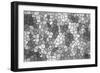 Abstract Texture of a Gray Mosaic-malven-Framed Art Print