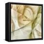 Abstract Thought II-Alonzo Saunders-Framed Stretched Canvas