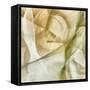 Abstract Thought II-Alonzo Saunders-Framed Stretched Canvas