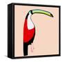 Abstract Toucan-Susan Bryant-Framed Stretched Canvas