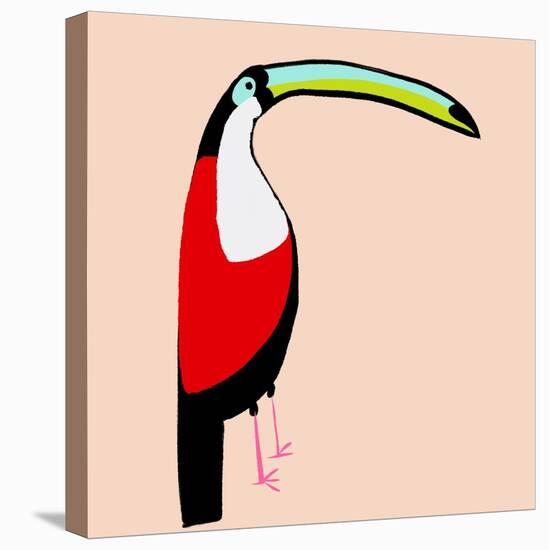 Abstract Toucan-Susan Bryant-Stretched Canvas