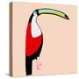 Abstract Toucan-Susan Bryant-Stretched Canvas