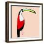 Abstract Toucan-Susan Bryant-Framed Art Print