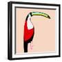 Abstract Toucan-Susan Bryant-Framed Art Print