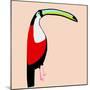 Abstract Toucan-Susan Bryant-Mounted Art Print