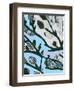 Abstract Tree Limbs I-Karen Fields-Framed Art Print