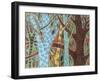 Abstract Trees 1-Karla Gerard-Framed Giclee Print