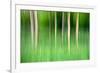 Abstract Trees-Mark Sunderland-Framed Photographic Print