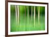 Abstract Trees-Mark Sunderland-Framed Photographic Print