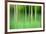 Abstract Trees-Mark Sunderland-Framed Photographic Print