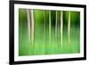 Abstract Trees-Mark Sunderland-Framed Photographic Print