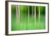 Abstract Trees-Mark Sunderland-Framed Photographic Print