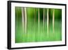 Abstract Trees-Mark Sunderland-Framed Photographic Print