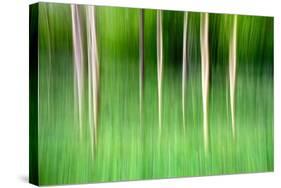 Abstract Trees-Mark Sunderland-Stretched Canvas