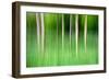 Abstract Trees-Mark Sunderland-Framed Photographic Print