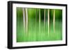 Abstract Trees-Mark Sunderland-Framed Photographic Print