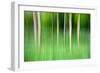 Abstract Trees-Mark Sunderland-Framed Photographic Print