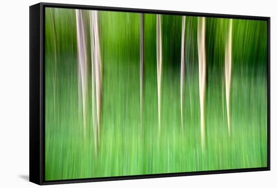 Abstract Trees-Mark Sunderland-Framed Stretched Canvas