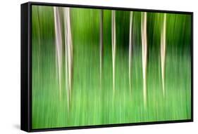 Abstract Trees-Mark Sunderland-Framed Stretched Canvas