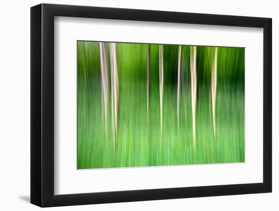 Abstract Trees-Mark Sunderland-Framed Photographic Print