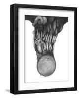 Abstract Tropical Black Tree-Ryuichirou Motomura-Framed Art Print
