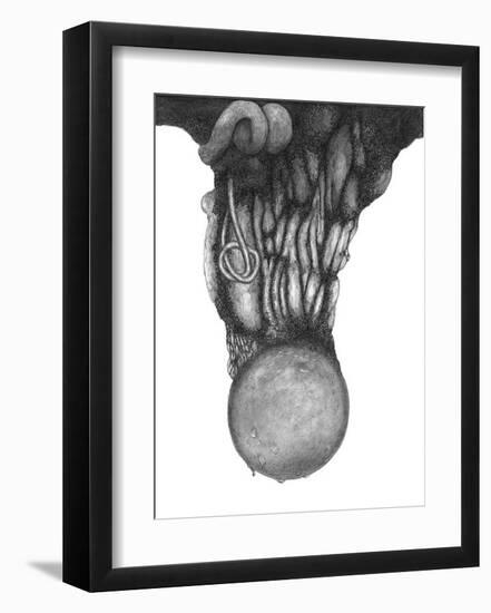 Abstract Tropical Black Tree-Ryuichirou Motomura-Framed Art Print