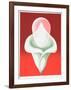 Abstract Tulip-Clarence Holbrook Carter-Framed Limited Edition