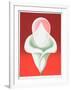 Abstract Tulip-Clarence Holbrook Carter-Framed Limited Edition