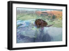 Abstract Turtle-Incredi-Framed Giclee Print