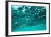 Abstract Underwater Background with Bokeh-shevtsovy-Framed Photographic Print