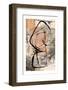 Abstract Vectorial Composition-isaxar-Framed Photographic Print