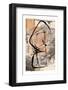 Abstract Vectorial Composition-isaxar-Framed Photographic Print
