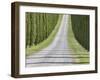 Abstract View of Cypress Trees and their Shadows across Gravel Road, Near Pienza, Tuscany-Lee Frost-Framed Photographic Print