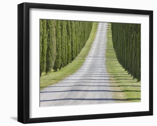 Abstract View of Cypress Trees and their Shadows across Gravel Road, Near Pienza, Tuscany-Lee Frost-Framed Photographic Print