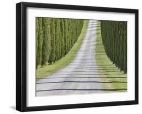 Abstract View of Cypress Trees and their Shadows across Gravel Road, Near Pienza, Tuscany-Lee Frost-Framed Photographic Print