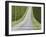 Abstract View of Cypress Trees and their Shadows across Gravel Road, Near Pienza, Tuscany-Lee Frost-Framed Photographic Print