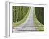 Abstract View of Cypress Trees and their Shadows across Gravel Road, Near Pienza, Tuscany-Lee Frost-Framed Photographic Print