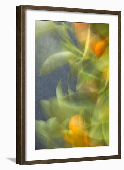 Abstract Vision I-Karyn Millet-Framed Photographic Print