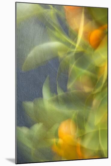 Abstract Vision I-Karyn Millet-Mounted Photographic Print